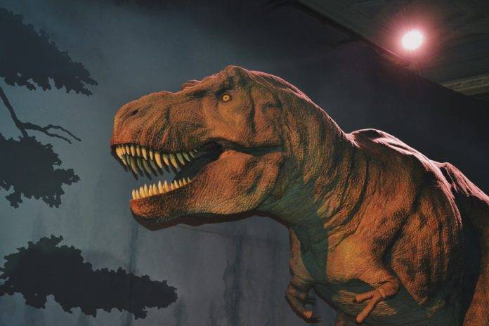 first NFT collection of an authentic T-Rex fossil